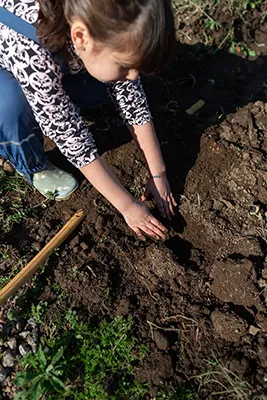 Criança a mexer na terra